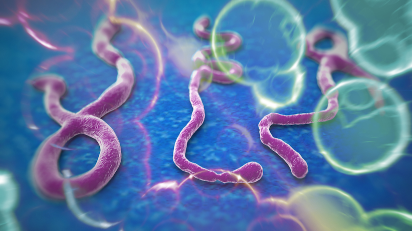 ما هو فيروس (إيبولا)؟